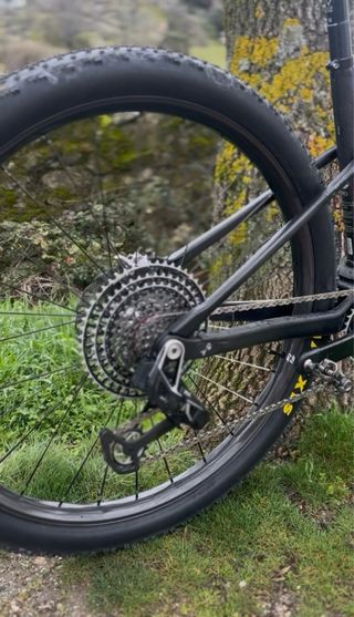 BH Lynx SLS 9.9 Flight Attendant