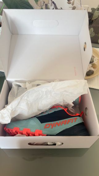 Zapatillas Dynafit Traverse Trail Mujer