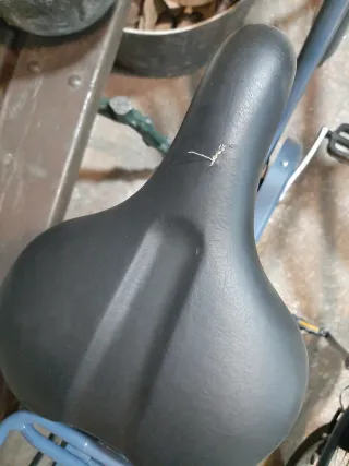 Bicicleta Urbana Paseo Azul con Cesta