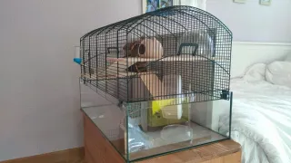 Jaula extra grande roedores Zolux