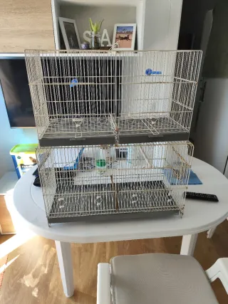 2 Jaulas para pájaros (58 y 60 cm) 15,00 Euros un.