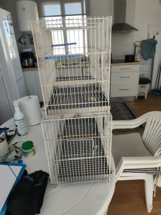 2 Jaulas para pájaros (58 y 60 cm) 15,00 Euros un.