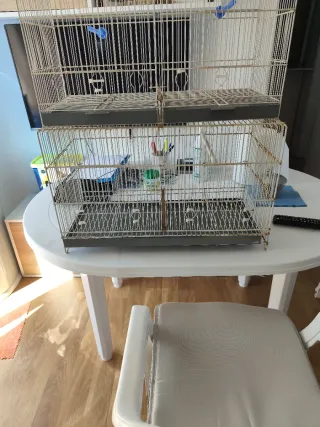 2 Jaulas para pájaros (58 y 60 cm) 15,00 Euros un.