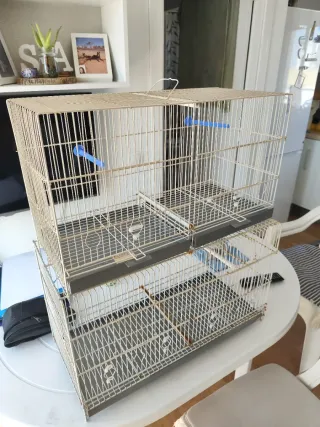 2 Jaulas para pájaros (58 y 60 cm) 15,00 Euros un.