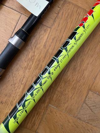 Canne da pesca surfcasting/carpfishing + supporto