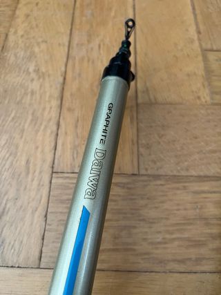 Canne da pesca surfcasting/carpfishing + supporto