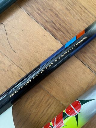 Canne da pesca surfcasting/carpfishing + supporto