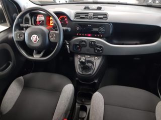 FIAT Panda 2022 - 8686LWL