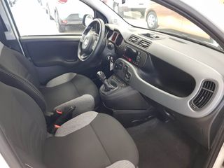 FIAT Panda 2022 - 8686LWL
