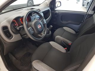 FIAT Panda 2022 - 8686LWL