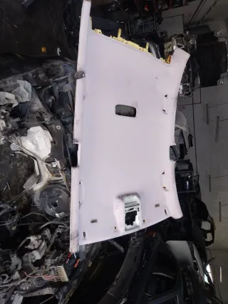 Techo Interior Volkswagen Passat B6