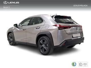 Lexus UX 2.0 250h Business