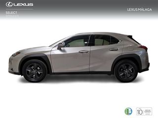 Lexus UX 2.0 250h Business