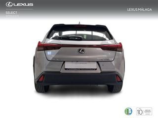 Lexus UX 2.0 250h Business