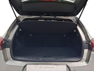 Lexus UX 2.0 250h Business