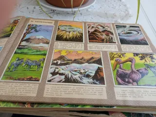 Álbum de cromos África y sus habitantes Maga