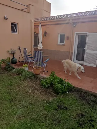Alquilo habitación en Palafrugell para temporada.