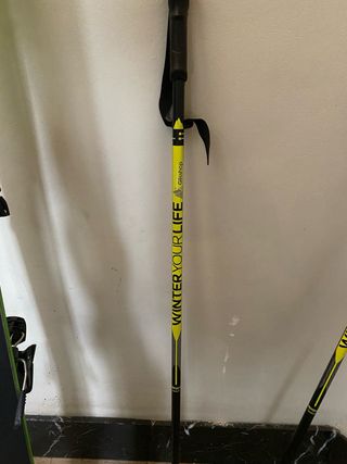 Sci Elan con attacchi e bastoncini