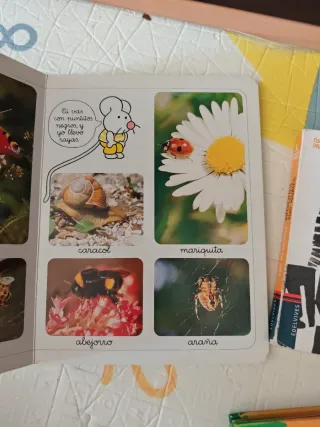 Lote 4 libros de temática animal