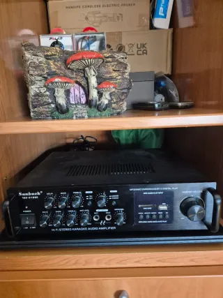 Amplificador Sunbuck TAV-6168E Karaoke + Mando