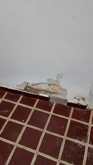 Pintor profesional en sevilla – Deja tu casa como
