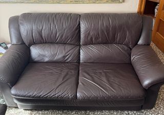Sofás de piel marrón 2 plazas