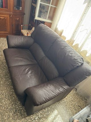 Sofás de piel marrón 2 plazas