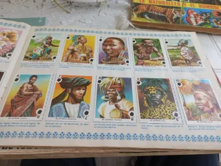 Álbum de Cromos Familias Maga