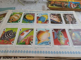 Álbum de Cromos Familias Maga