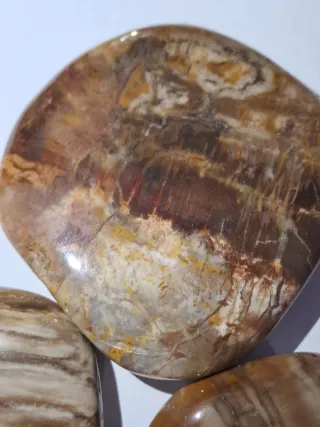 Xiopalo Grande Palm stone