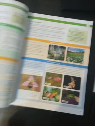 BIOLOGIA, GEOLOGIA Y CIENCIAS AMBIENTALES 1 BTO...