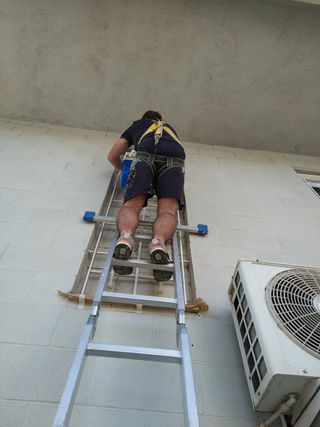 PINTOR