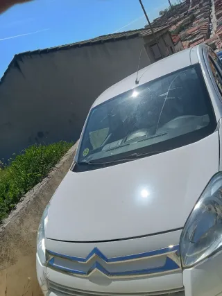Citroen Berlingo 2010