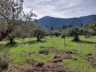 CASA DE CAMPO CASTELL DE CASTELLS