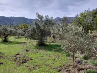 CASA DE CAMPO CASTELL DE CASTELLS