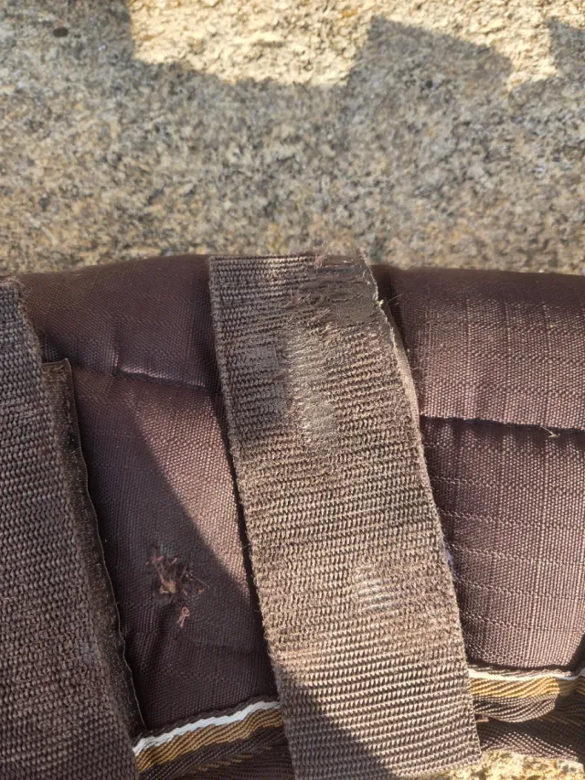 Protectores transporte caballos Eskadron