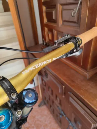 Canyon Torque Bicicleta Montaña