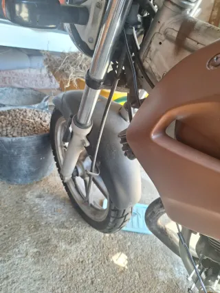 Honda CBF250 Naked Moto
