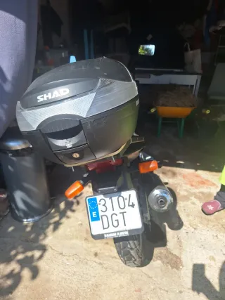 Honda CBF250 Naked Moto