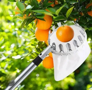 Raccogli Frutta con Sacchetto