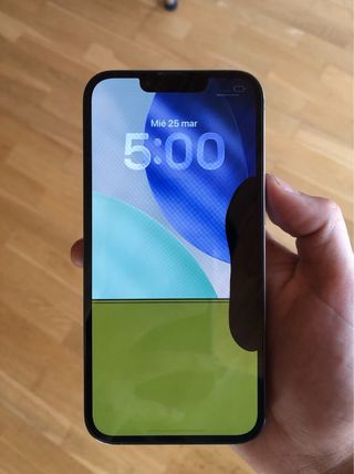 iPhone 13 Pro 256GB reparar