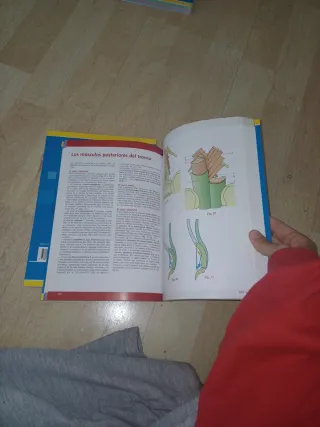 Fisiologa Articular T1 6aEd: Hombro, codo, pro...