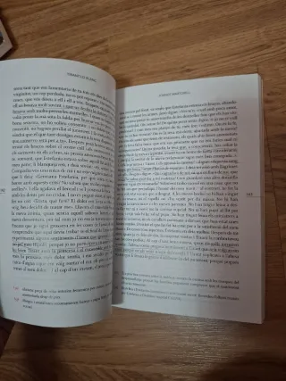 Tirant Lo Blanc. Episodis Amorosos