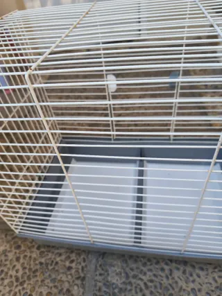 Jaula grande para conejo,coballa..