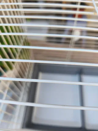 Jaula grande para conejo,coballa..