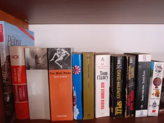 Lote de libros variados