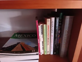 Lote de libros variados