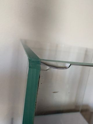 Acuario Blau Cubic Aquascaping 64L