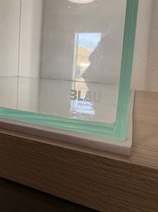 Acuario Blau Cubic Aquascaping 64L