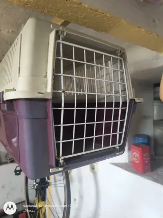 Transportín para mascotas beige y morado